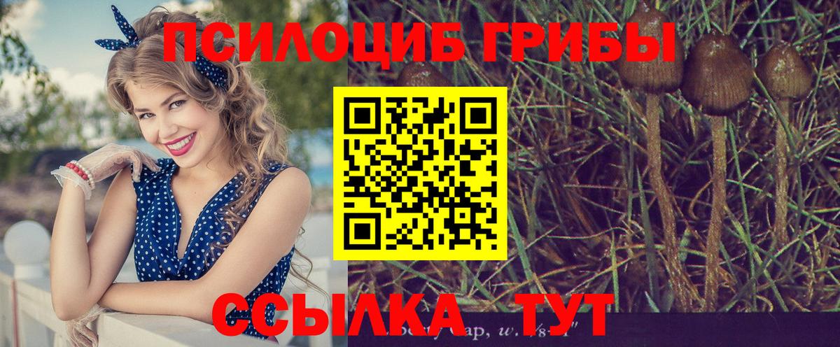 Галлюциногенные грибы Magic Shrooms Батайск